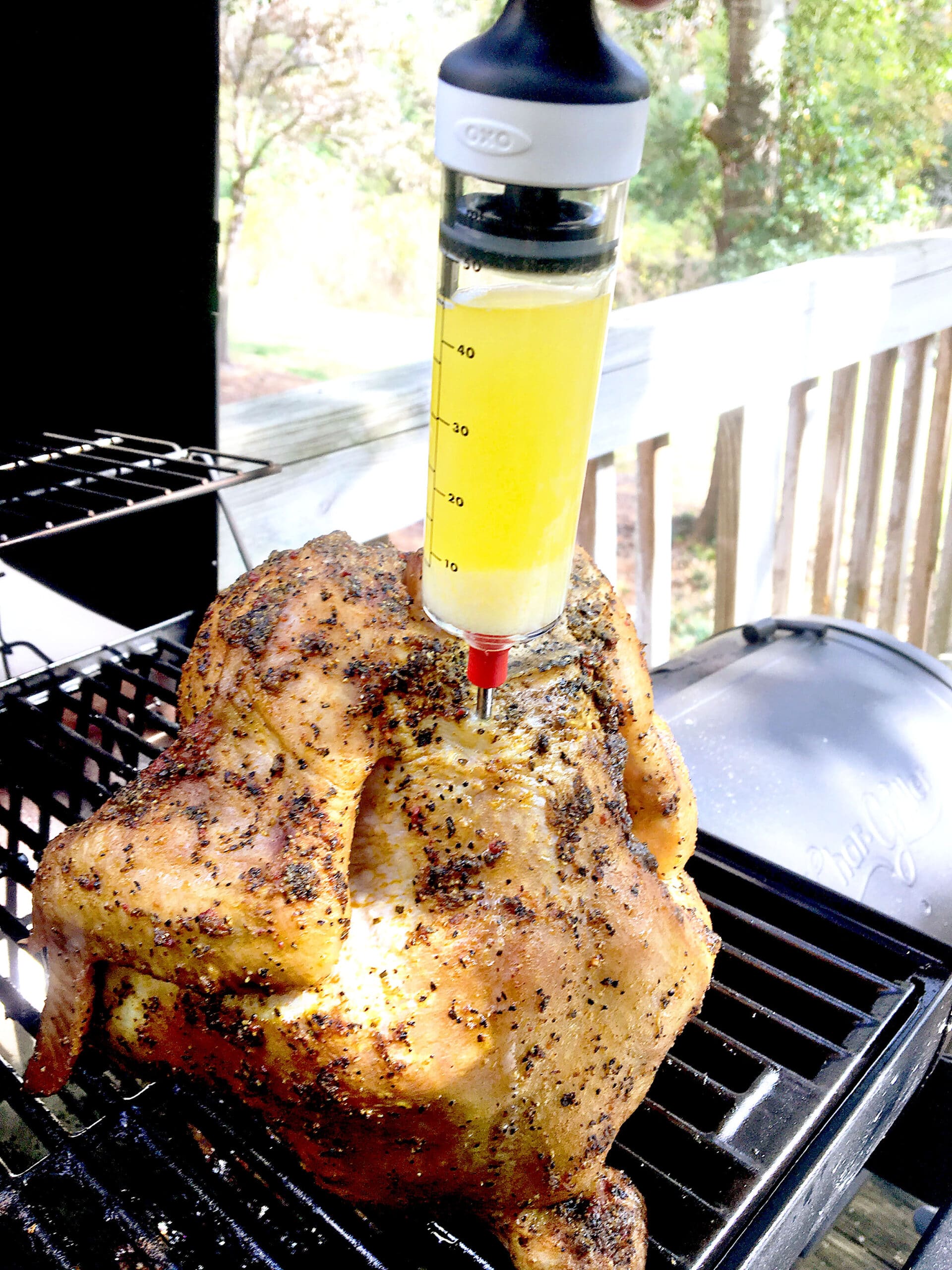 Beer Can Chicken | Dixie Chik Cooks